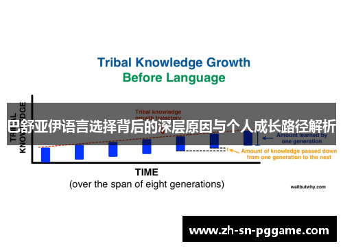 巴舒亚伊语言选择背后的深层原因与个人成长路径解析 巴舒亚伊语言选择背后的深层原因与个人成长路径解析