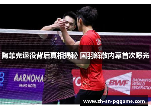 陶菲克退役背后真相揭秘 国羽解散内幕首次曝光