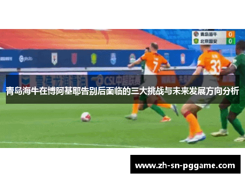 青岛海牛在博阿基耶告别后面临的三大挑战与未来发展方向分析