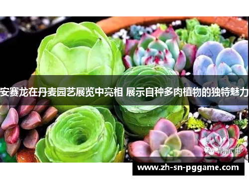 安赛龙在丹麦园艺展览中亮相 展示自种多肉植物的独特魅力