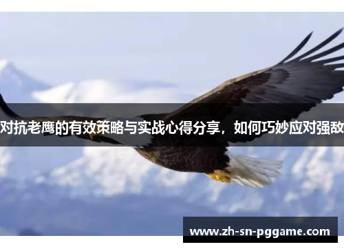 对抗老鹰的有效策略与实战心得分享，如何巧妙应对强敌