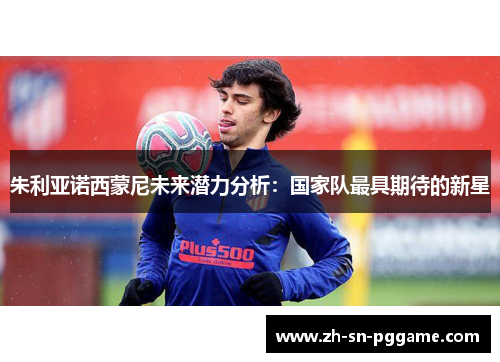 朱利亚诺西蒙尼未来潜力分析:国家队最具期待的新星 朱利亚诺西蒙尼未来潜力分析:国家队最具期待的新星